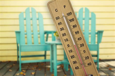 @BN9/Pasco County / Twitter