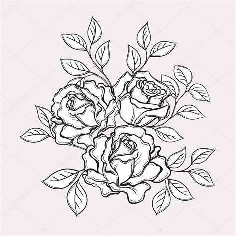 Blanco Y Negro De Rosa Flores Y Hojas Illus Vector Dibujado A Mano