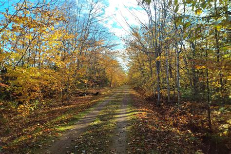 The Island Walk | Island Trails