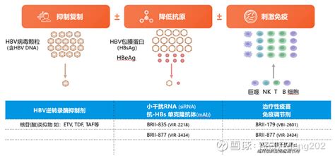 腾盛博药基本面逻辑分析连载文章全链接 腾盛博药 B02137 链接：1、腾盛博药目前的估值情况2、跌了一个黄金坑 浅述腾盛博药的乙肝