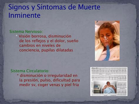 Cuidados Post Mortem 3