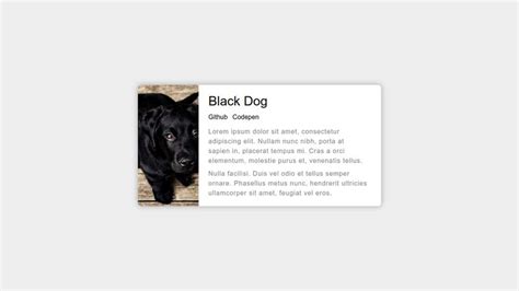 Black Dog Card