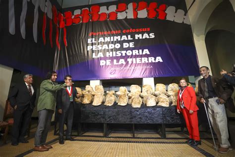 Presentación del Perucetus Colossus el animal más pesado de la Tierra