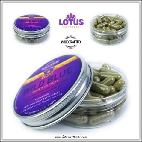 Wild Blue Blue Lotus And Wild Lettuce Extract Capsules Lotus Extracts