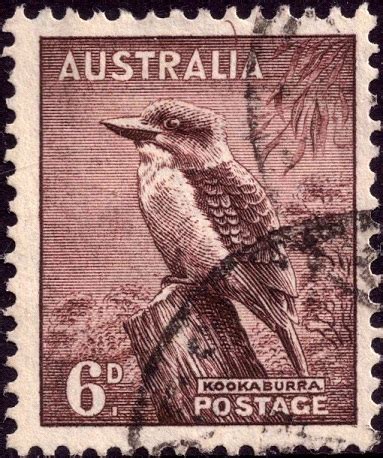 Roos Philately Australia D Kookaburra Cofa Watermark Perf X