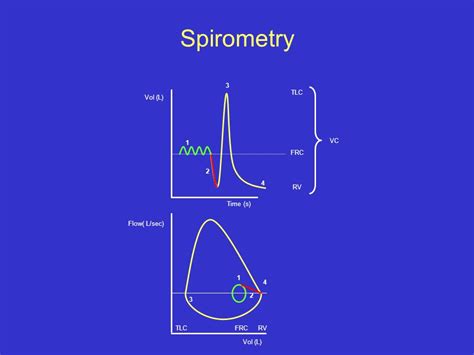 Measurement Of Lung Function Ppt Download