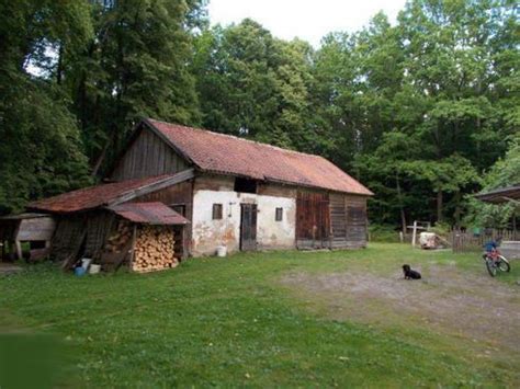 Siedlisko Pod Lasem Pol Km Od Jeziora Szuka Wlasciciela Niusy I