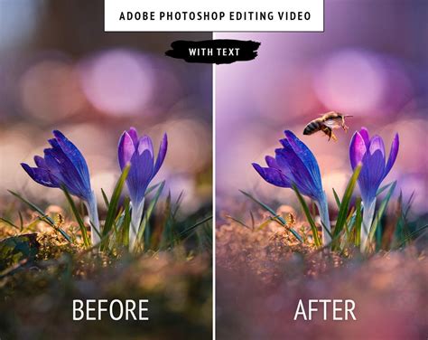 Adobe Photoshop Editing Video Tutorial With English Text: Macro With ...