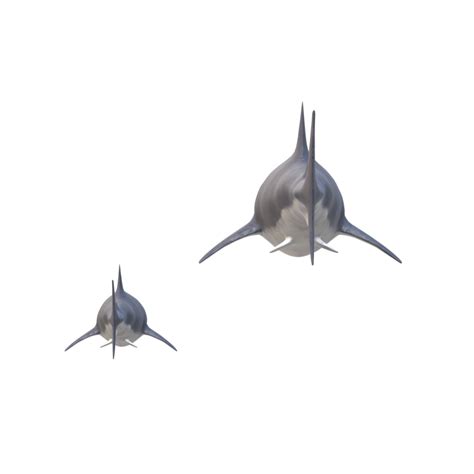 Swimming Shark Illustration 27257733 Png