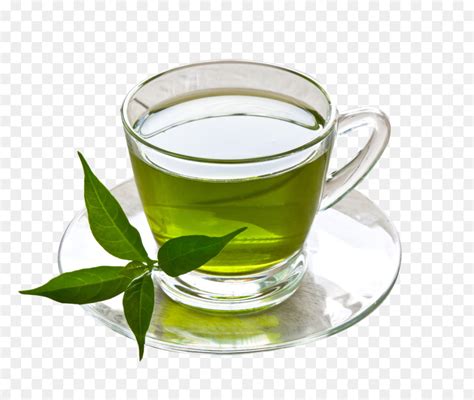 Green Tea Coffee Herbal Tea Drink Cup Of Green Tea Png Download