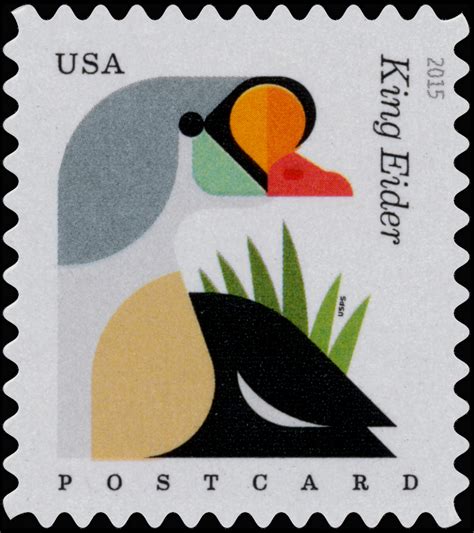 Modern U S Stamps Scott 4991 4994 4994a Postcard Rate Coastal Birds