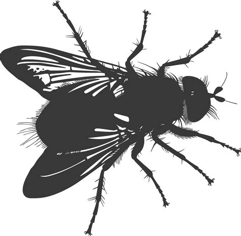 Ai Generated Silhouette Fly Insect Animal Black Color Only Full