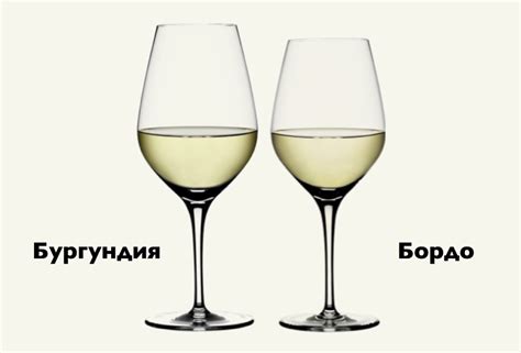 Виды бокалов под красно и белое вино - Легендарные напитки
