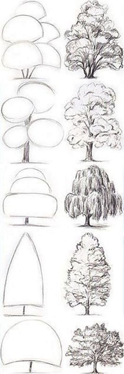 How To Draw A Tree Step By Step Image Guides Bored Art Art