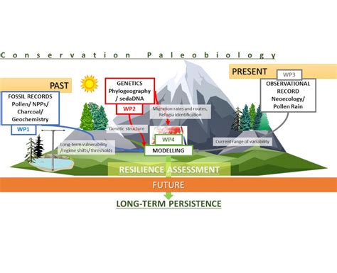 Mediterranean Paleoecology | MedPaleo