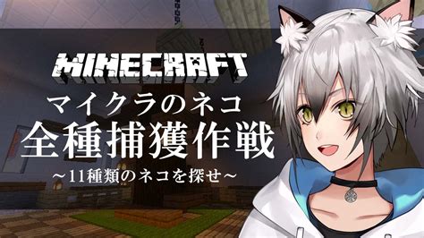 ぶいらび 【minecraft】ワールド内の『猫』全種類保護します【猫瀬乃しんのりプロ所属】