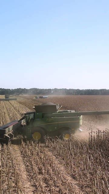 John Deere Harvesting Sunflower🌻 Youtube