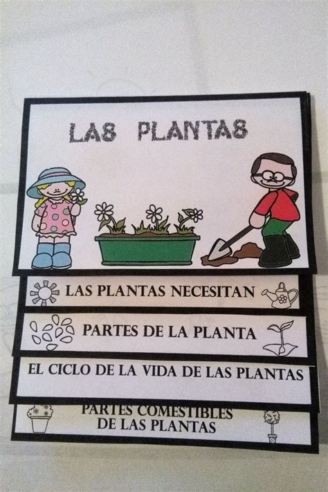 ¿qué Puedo Hacer Hoy Las Plantas Libro Móvil Ciclos De Vida De Las Plantas Libro Movil