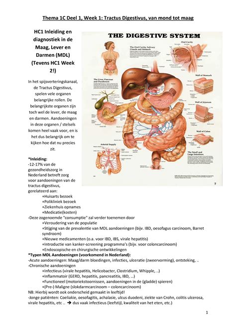 Aantekeningen 1 C Stoornissen In Voeding Metabolisme En Hormonale