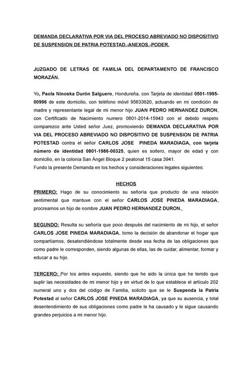 Demanda De Patria Potestad Demanda Declarativa Por Via Del Proceso