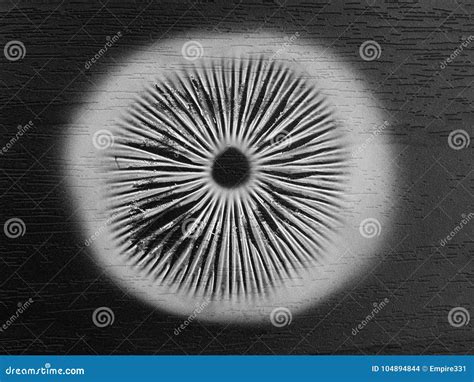 Mushroom spore print stock photo. Image of mushroom - 104894844