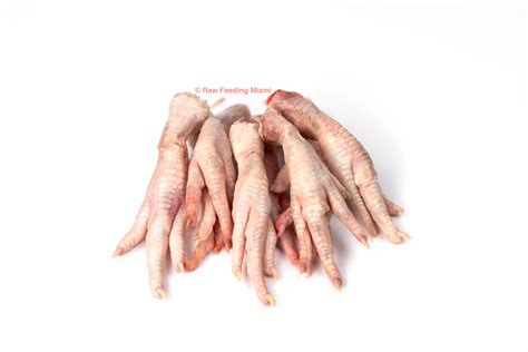 Chicken Feet – Raw Feeding Miami