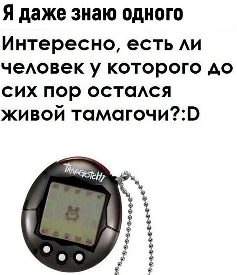 Тамагочи | Пикабу