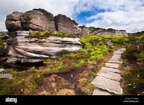 Path At Old Stell Crag In The Simonside Hills Near Rothbury