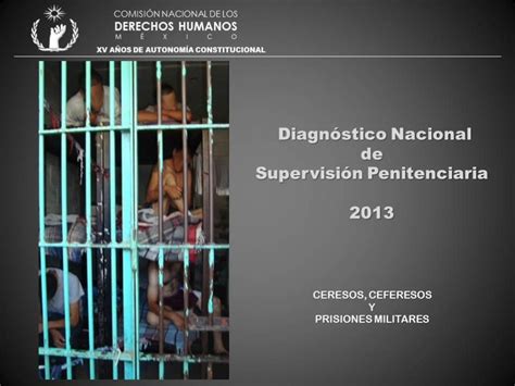 Pdf Diagn Stico Nacional De Supervisi N Penitenciaria Dokumen Tips