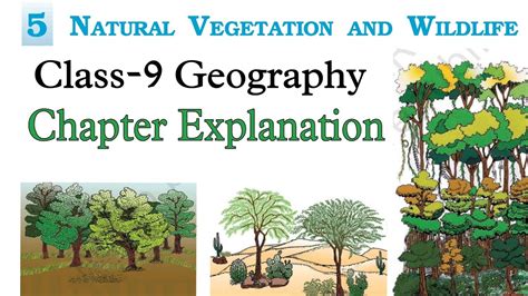 P Natural Vegetation And Wildlife Class Geography Ncert Chapter