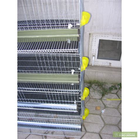 Продам клетки для перепелов, купить клетки для перепелов, Харьковская ...