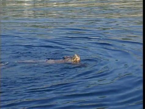 Sex Im Vergessenen Deutschland Vol Porn Xhamster Xhamster