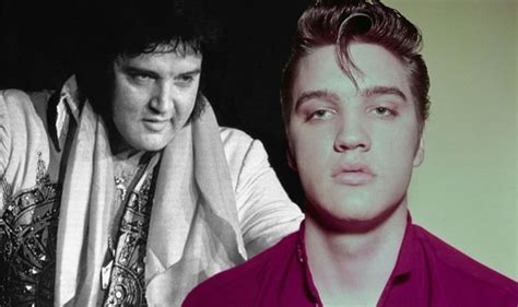 Elvis Presley Is The King Still Alive Mammoth New Evidence Revealed