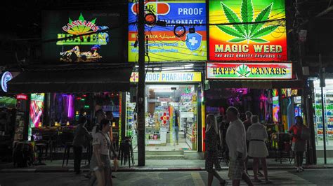 How Cannabis Has Altered The Thailand Experience Adventure