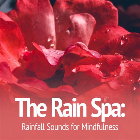 The Rain Spa Rainfall Sounds For Mindfulness Album By Rain Spa Spotify