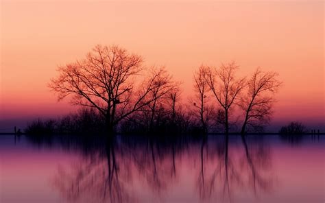 Fondos De Pantalla Árboles Paisaje Puesta De Sol Lago Naturaleza Reflexión Cielo Rama