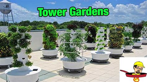 Hydroponic Tower Garden Fasci Garden