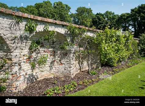 How To Build A Walled Garden Builders Villa