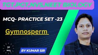 Gymnosperms The Fascinating World Of Naked Seed Plants Doovi