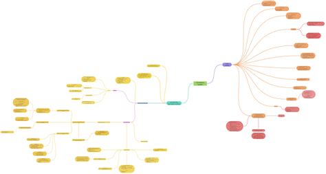 Circulatory System Coggle Diagram