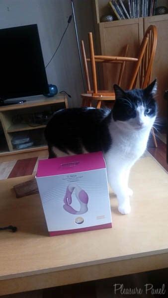 Adrien Lastic O Venus Vibrator Review Venus O Hara Sex Toy