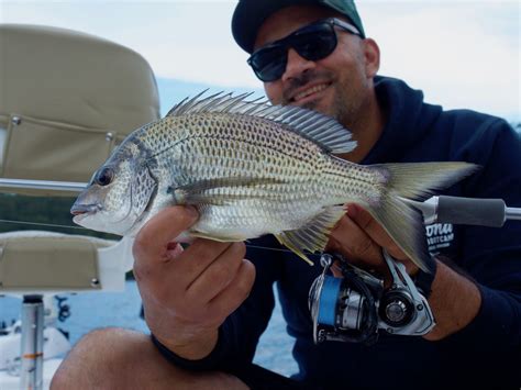 Daiwa Caldia LT - Hooked Up Magazine