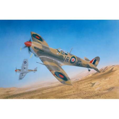 Supermarine Spitfire Mk Vb TROP Trumpeter 1 24