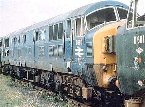 Pin By Kevin Bays On Br Class 41 Warship Abandoned Train British Rail Western Region