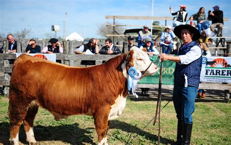 LA EXPO RURAL GUALEGUAYCHÚ FUE ELEGIDA POR LOS CRIADORES PARA LA