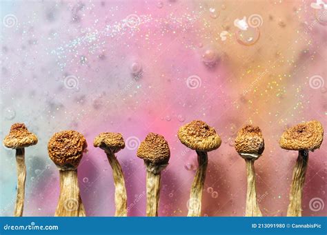 Psychedelic Magic Mushrooms Royalty Free Stock Image Cartoondealer