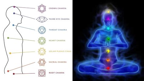 Chakras Your Guide To Understand Chakras Gobookmart