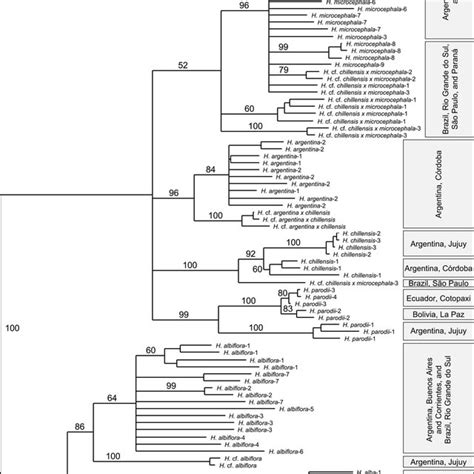 50 Majority Rule Consensus Tree Of 10000 Bootstrap Replicates Of