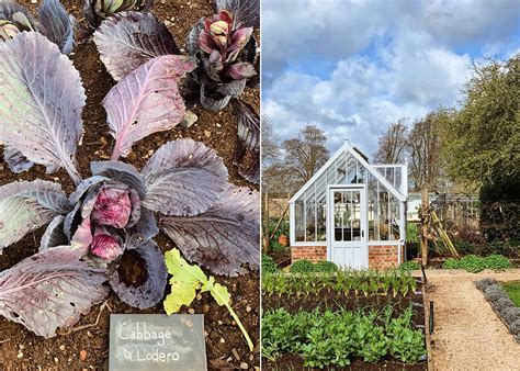 Visiting Bath, England – HonestlyYUM 