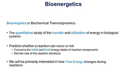 Bioenergetics Flashcards Quizlet